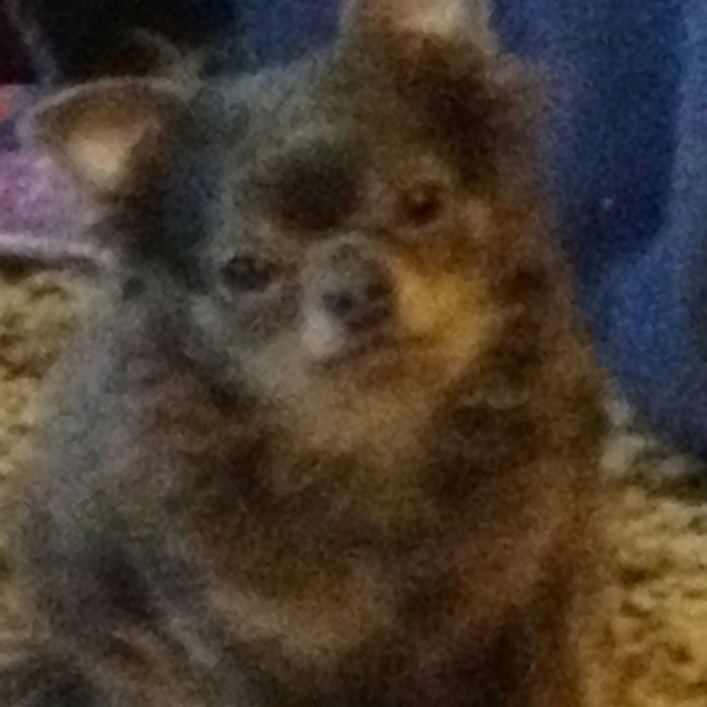 Meet your Posher, Vertha